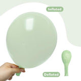 Pastel Mint Green Balloons - 84Pc Kit: 5", "12", "18 Inch Arch Garland - Happy Birthday, Baby Shower, Wedding Decorations