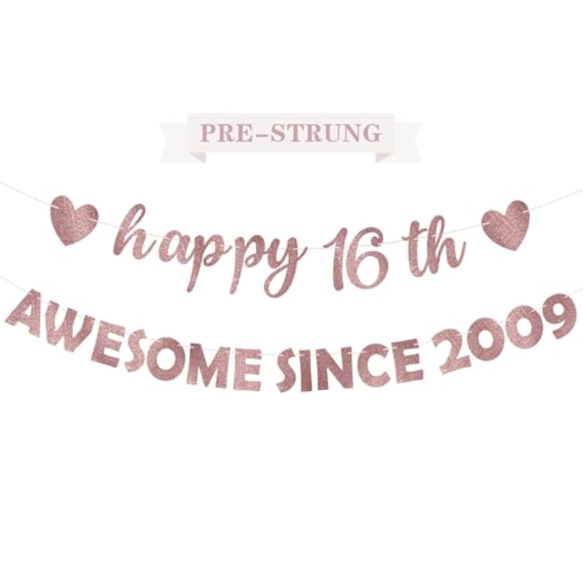 Pink Rose Gold 16th Party Decorations "Awesome Since 2009" Banner & Photo Props