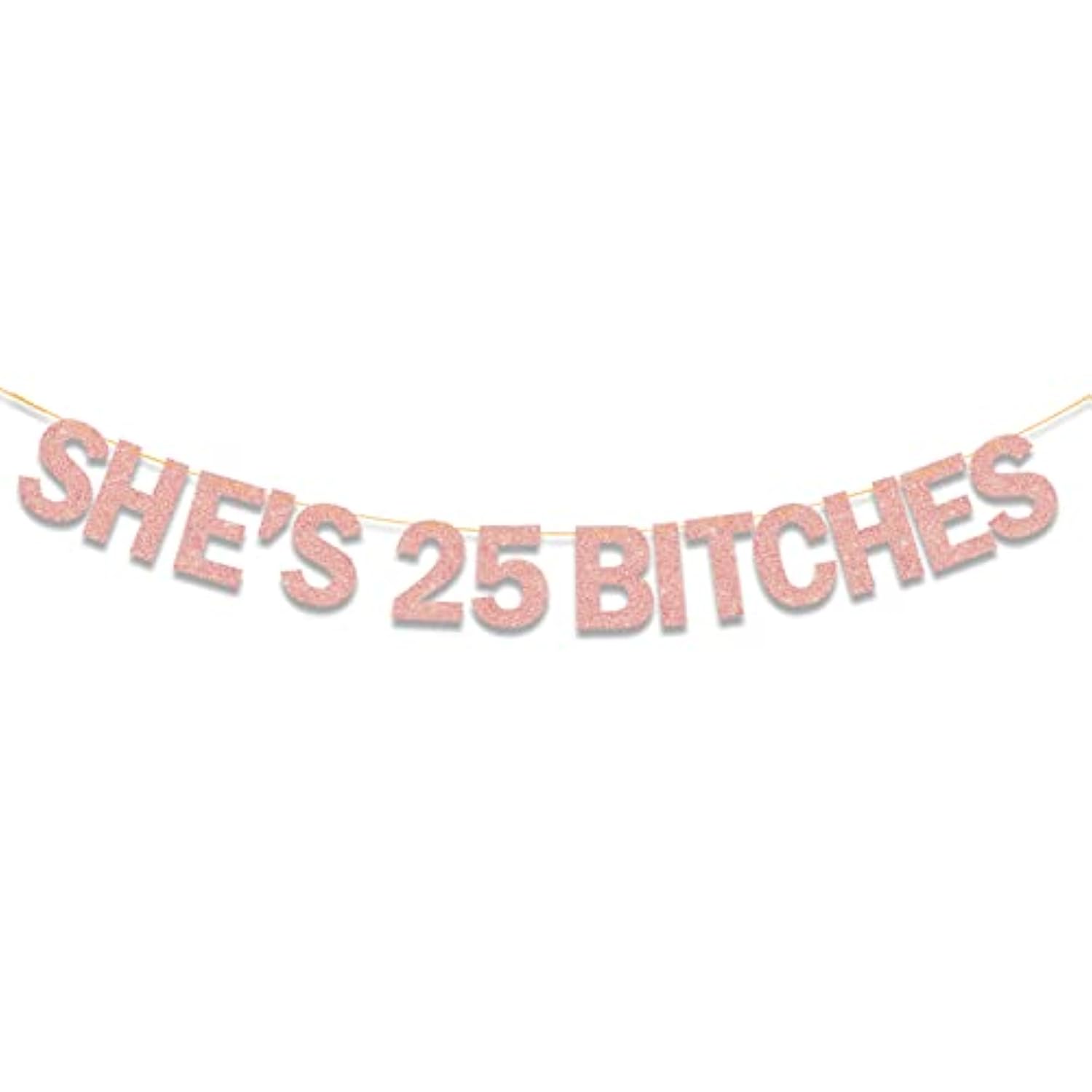 She’s 25 Bitches Rose Gold Glitter Banner 25th Birthday Decorations