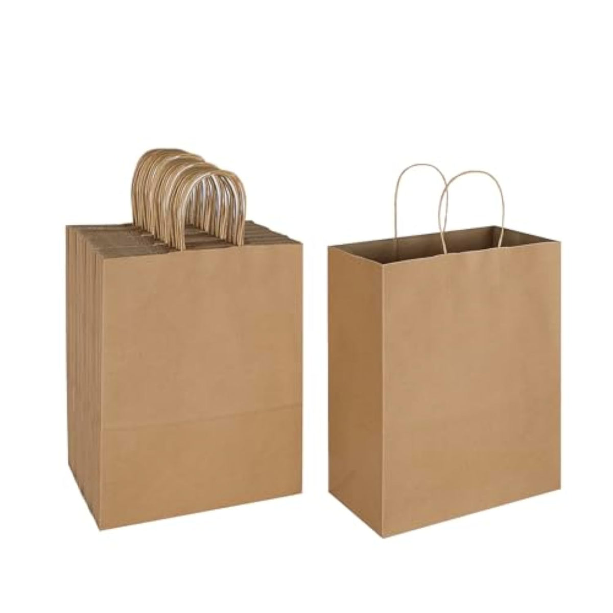 50 Pack 10X5X13 Plain Natural Brown Kraft Paper Bags With Handles Bulk For Birthday Party Favors Grocery Retail Shopping Business Goody Recycled Craft Gift Bags (Large Size, 50 Count)
