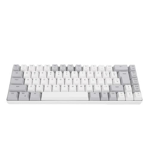 60% Wired Gaming Keyboard, Rgb Backlit Ultra Compact 68 Keys Mini Gaming Keyboard, Anti Ghosting And Multimedia Keys, Usb Wired Computer Keyboards For Wins, Os X, Pc (Gray White)