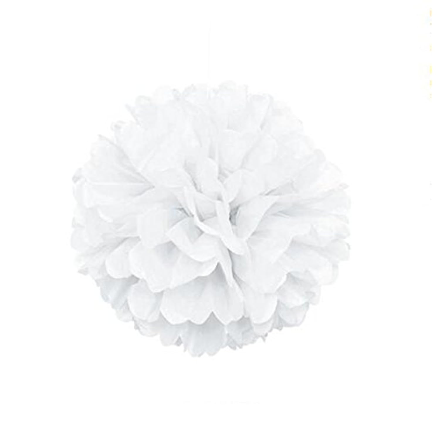 10Pcs White Tissue Hanging Paper Pom-Poms, Flower Ball Wedding Party Outdoor Decoration Premium Tissue Paper Pom Pom Flowers Craft Kit