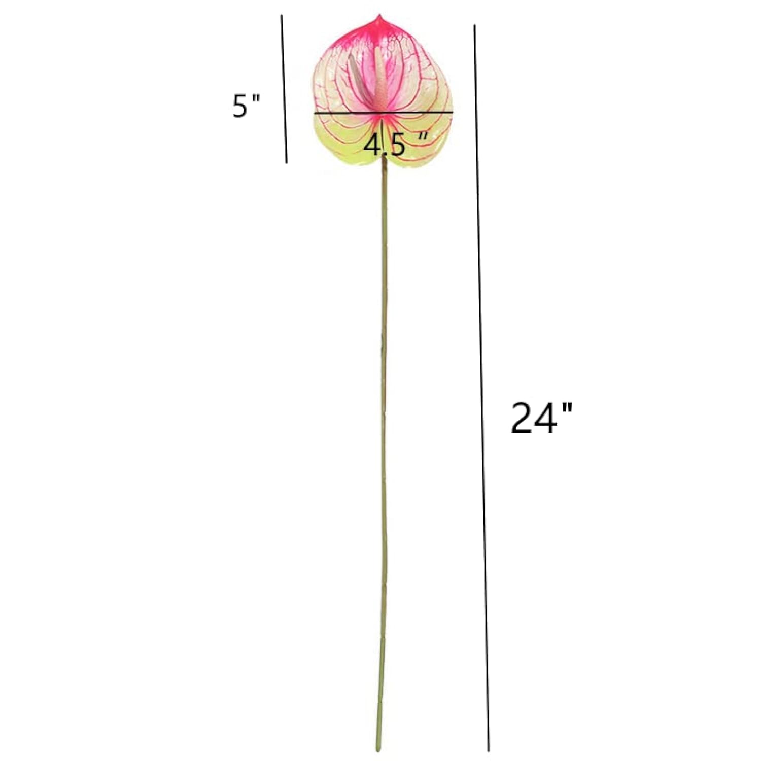 5 Pc 24Inch/61Cm Artificial Anthurium Lily Flowers Permanent For Home Decor Bouquet And Green Leaf For Bridal Wedding Festival Party,Store Decor Small Flower Bouquet Accessories (White)