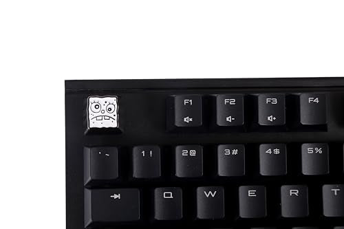 Anime Keycap For Mechanical Gaming Keyboard Cherry Mx Profile, Esc R4 Height- Metal