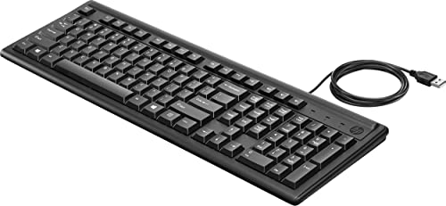 Keyboard 100
