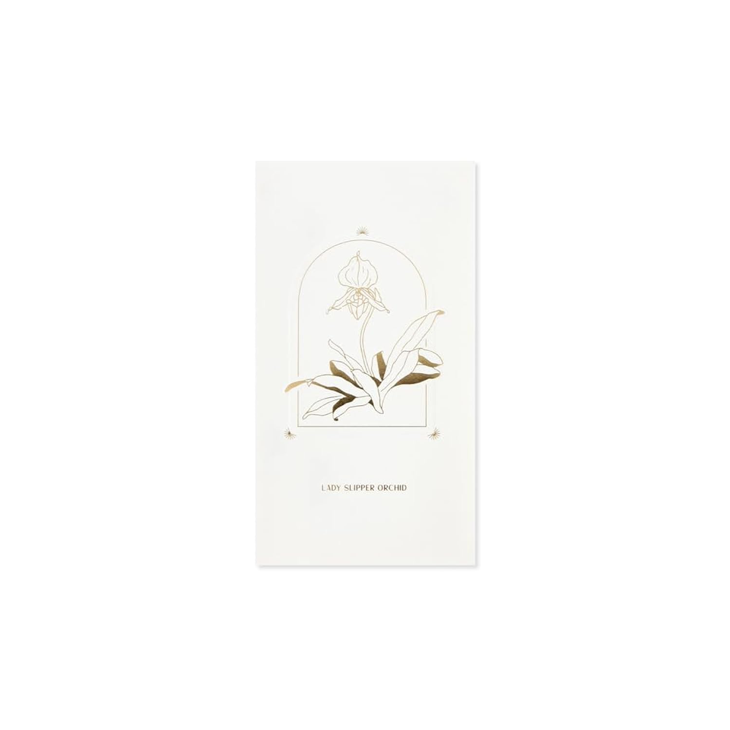 Hiromi Takeda Lady Slipper Orchid Flower Pop-Up Greeting Card With Envelope- For Anyone, Congrats, Thank You, Just Because, All Occasion, Thinking Of You, Valentine'S Day, Mother'S Day (Blank)
