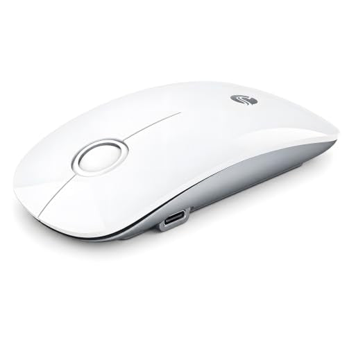 R306 Pro Wireless Mouse, Dual Bluetooth & 2.4G, Type-C Rechargeable, Silent Click, Slim Symmetrical Design, Portable For Laptop/Ipad/Macbook/Desktop/Windows/Macos White