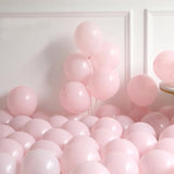 Spring Wildflowers Balloon Arch Kit 153Pcs Pastel Pink Blue Balloon Garland Kit, Daisy Flower Foil Balloons For Birthday Baby In Bloom Baby Shower Bridal Shower Wedding Wild One Party Decorations