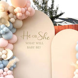 He Or She What Will Baby Be Gender Reveal Party Decal - Gender Reveal Party Decorations,Boy Or Girl Baby Shower Backdrop Sign Photo Props