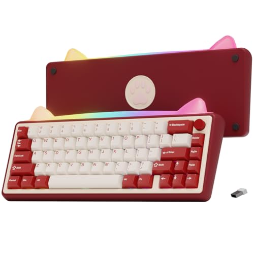 Chilkey Foxy65 Mechanical Keyboard With Knob, Gasket Mount 65% Aluminum Wireless Mechanical Keyboard, Bt5.0/2.4Ghz/Usb-C, Hot Swappable, Rgb Backlit Computer Custom Key Board For Pc