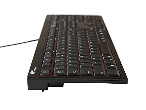 Bitferrous Bfkb113Pbk Scissor-Switch Typekeys (Pantograph Keys) Gaming Keyboard (Japanese Layout) / Smooth Typing/Full-Key Rayout / 113 Key