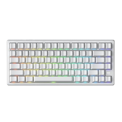 Mars75 Wired Magnetic Switch Keyboard, 75% Layout,0.001Mm Rt Accuracy, 8Khz Polling Rate/Latency As 0.125Ms/256Khz Single Key Scan Rate/Argbhot Swappable Gaming Keyboard(White)