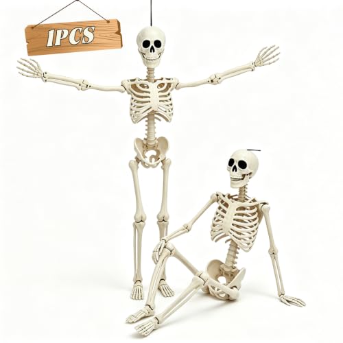 5.75ft Life Size Posable Halloween Skeleton, Movable Joints