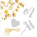 Happy 25Th Anniversary Banner, 25Th Wedding Anniversary, 25Th Birthday,25 Years Loved Party Decorations, Silver Glitter