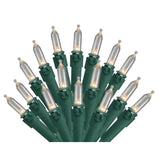 Warm White Led Christmas Lights - 100 Count Led Clear White Christmas Tree Lights With Green Wire - 34 Ft - Ul Listed -