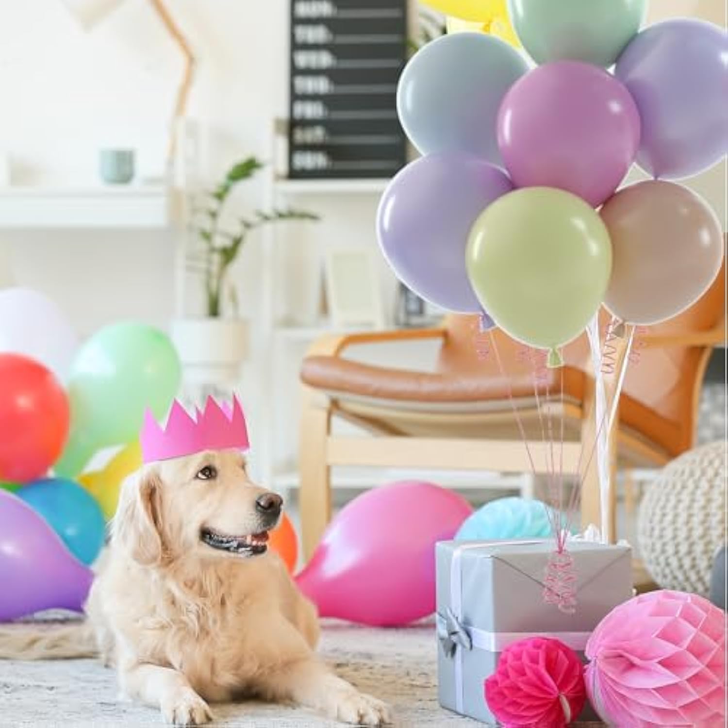 60 Pcs Party Latex Balloons 12 Inches Pastel Rainbow Birthday Balloons For Birthday Baby Shower Wedding Rainbow Party Balloons Decorations