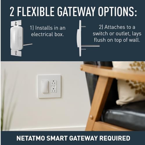 Radiant Wnrr20Wh 20 Amp Smart Outlet With Netatmo, Compatible With Alexa, Google Assistant & Apple Homekit, 20A, White (1 Count)