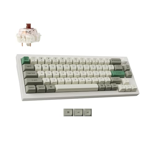 Q2 Max Wireless Custom Mechanical Gaming Keyboard, Qmk/Via Programmable Knob 2.4 Ghz/Bluetooth 5.1/Wired, 65% Compact Rgb Hot-Swap With Gateron Brown Switch For Mac Windows Linux - White