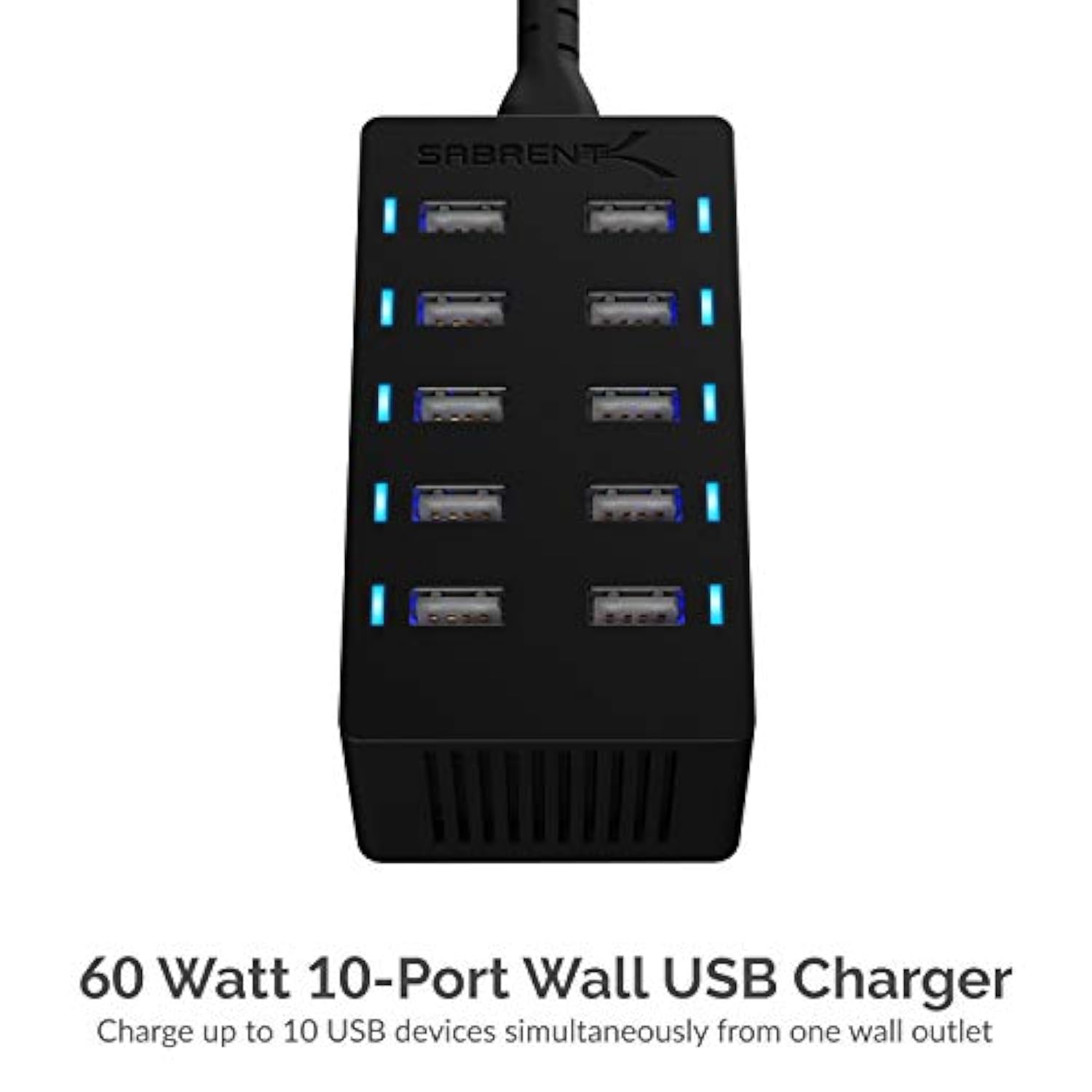 Sabrent 60 Watt (12 Amp) 10-Port [UL Certified] Family-Sized Desktop USB Rapid Charger. Smart USB Ports with Auto Detect Technology [Black] (AX-TPCS)