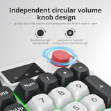 Rgb Mechanical Feel Membrane Wireless Keyboard, Wired/Bluetooth/2.4G Silent Abs Ball Cap Gasket Structure Gaming Office Keyboard For Pc/Mac/Win(98 White)