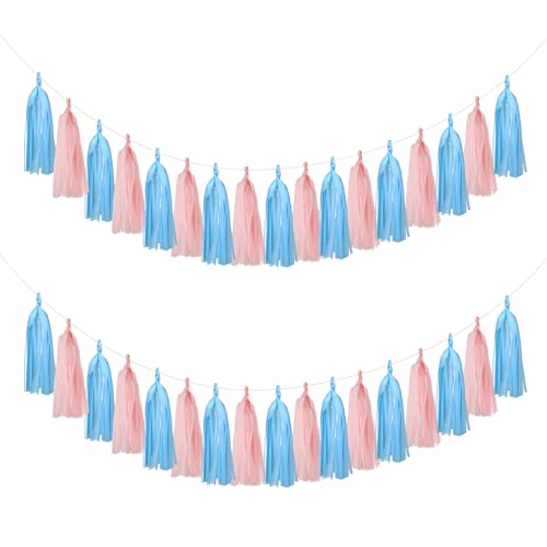 20PCS Gender Reveal Tissue Paper Tassel Banner Baby Pink Blue Tissue Garland for Gender Reveal Party Decorations Boy or Girl Baby Shower Decorations Pink and Blue Decorations