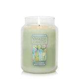 Yankee Candle Cucumber Mint Cooler Large Classic Jar Candle