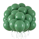 65-Pcs Sage Green 12" Latex Balloons with Ribbon for Parties & Events