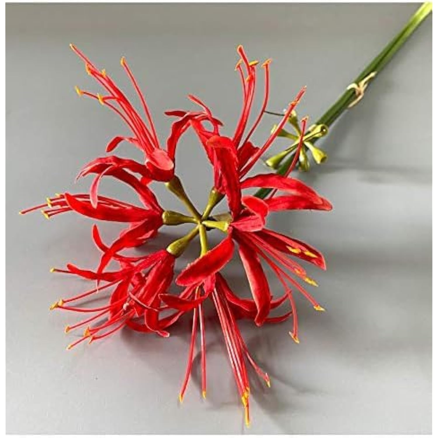6 Stems 26.38 Inch Artificial Lycoris Radiata Spider Lily Flowers For Home Garden Decoration Red