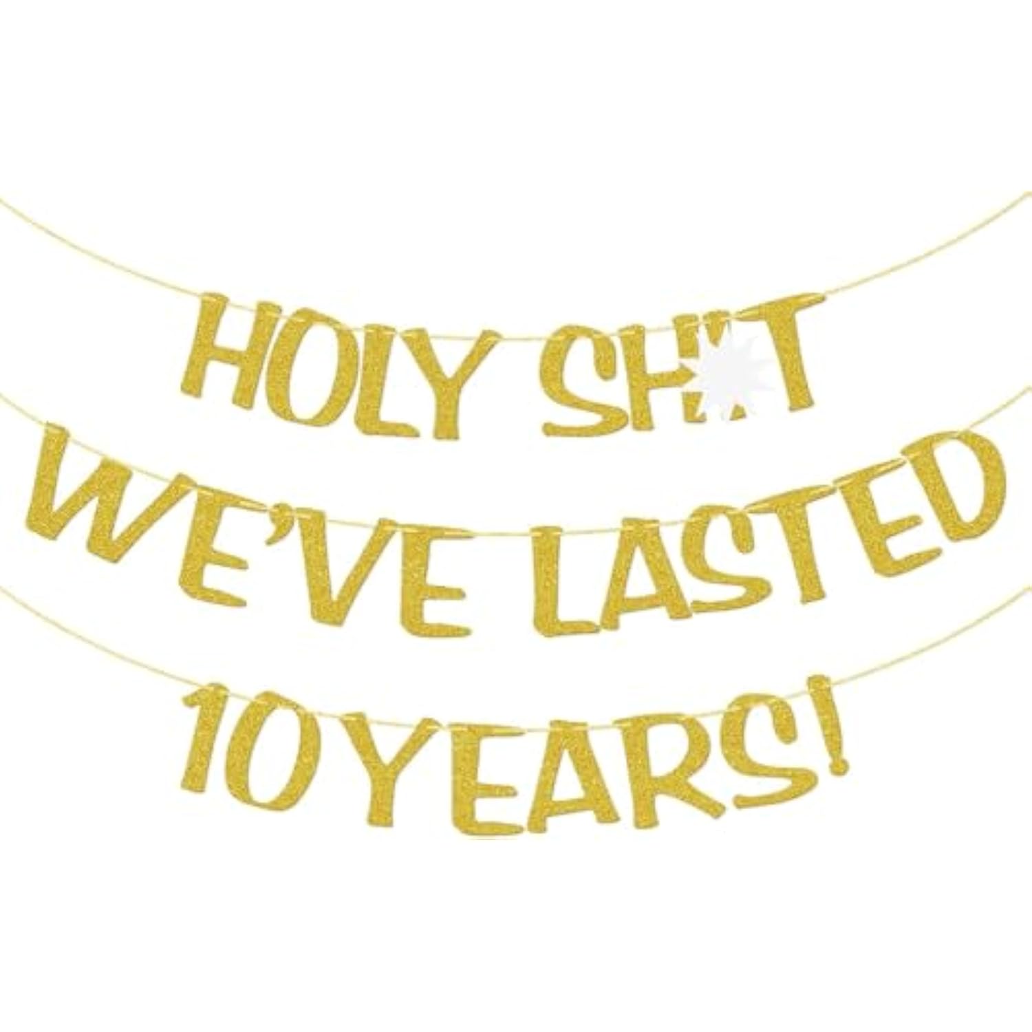 Holy We'Ve Lasted 10 Years Banner, 10Th Wedding Anniversary Party Decorations, Funny Decor For Him Her Husband Wife Parents, Pre-Strung, Gold Glitter
