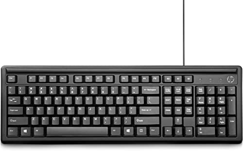 Keyboard 100