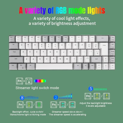 60% Wired Gaming Keyboard, Rgb Backlit Ultra Compact 68 Keys Mini Gaming Keyboard, Anti Ghosting And Multimedia Keys, Usb Wired Computer Keyboards For Wins, Os X, Pc (Gray White)