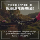 P-Sdu128X2V31100Px-Ge 128Gb Premier-X Class 10 U3 V30 Microsdxc Flash Memory Card 2-Pack - 100Mb/S, Class 10, U3, V30, A1, 4K Uhd, Full Hd, Uhs-I, Micro Sd