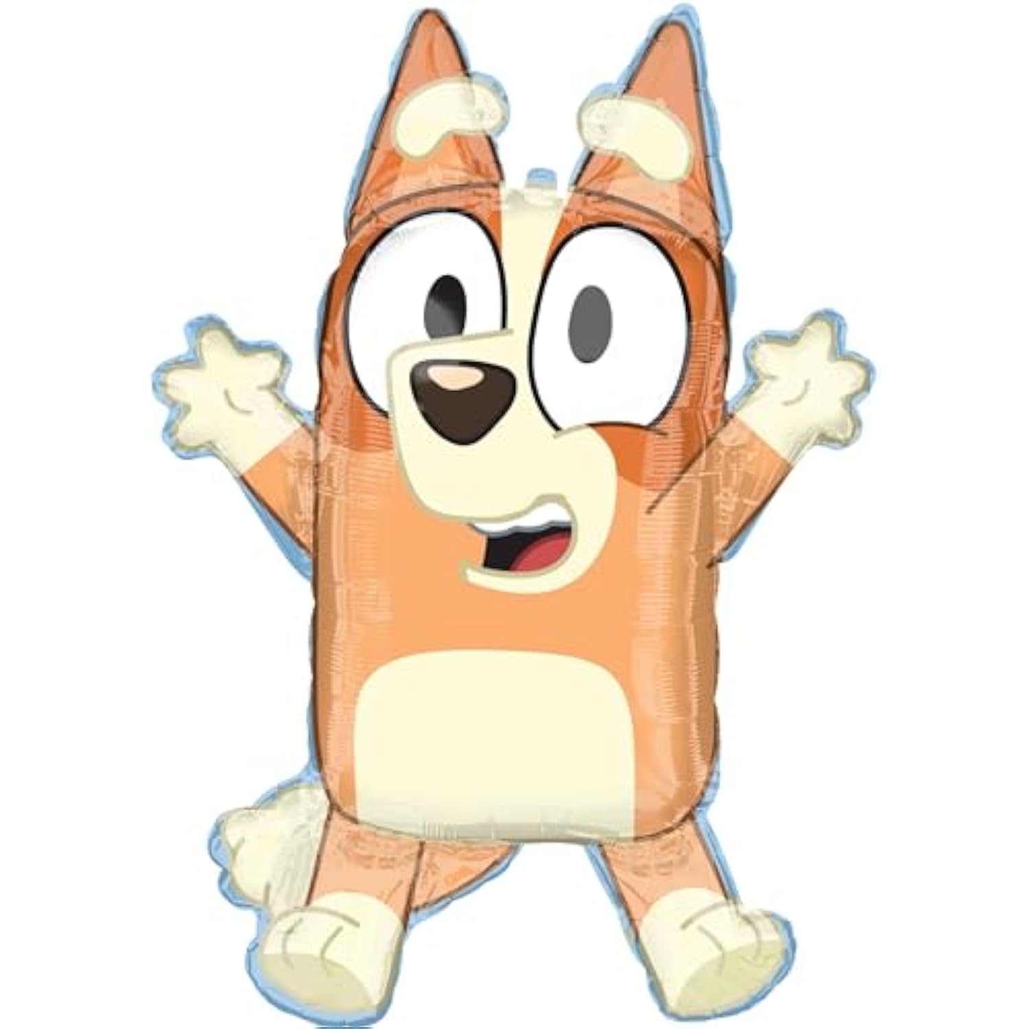 Bingo and Bluey Girl Birthday Party Supplies Foil Balloon Bouquet Decorations 6pc