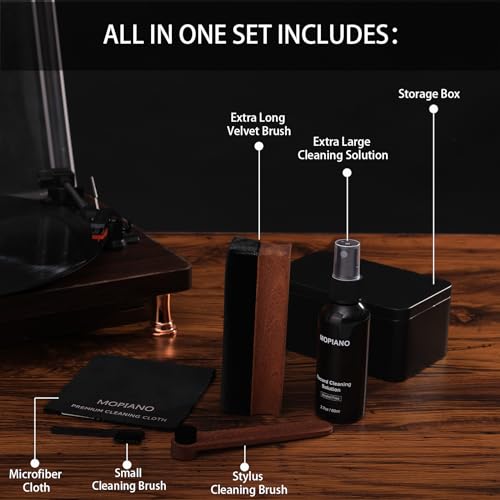 Vinyl Record Cleaning Kit