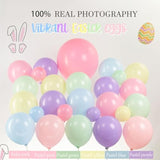 Pastel Easter Balloon Garland Arch Kit Pink Yellow Green Blue Balloons With Eggs Rabbits Chicks Daisy And Easter Letter Balloons Diy Carrot For Easter Birthday Party Decorations