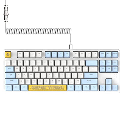 Ak873 Gaming Keyboard,Rainbow Led Backlit,Hot-Swappable Blue Switch,Pbt Keycap,75% Tkl Layout,Ergonomic Mechanical Keyboard With Custom Coiled Usb/Type-C Aviation Cable(Blue White)