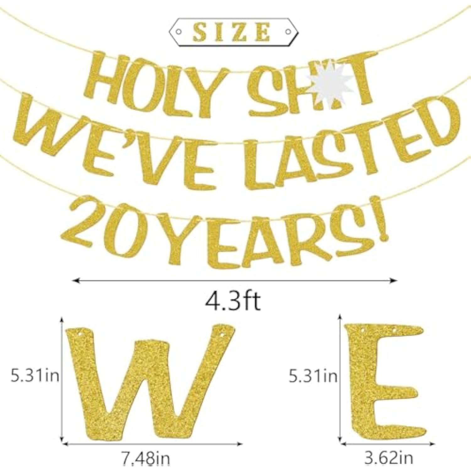 Holy We'Ve Lasted 20 Years Banner, 20Th Wedding Anniversary Party Decorations, Funny Decor For Him Her Husband Wife Parents, Pre-Strung, Gold Glitter