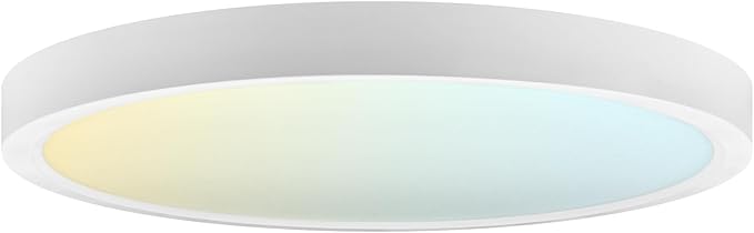7 Inch LED Flush Mount Ceiling Light 14W Dimmable Surface Mount Light 5CCT 1150 Lumens