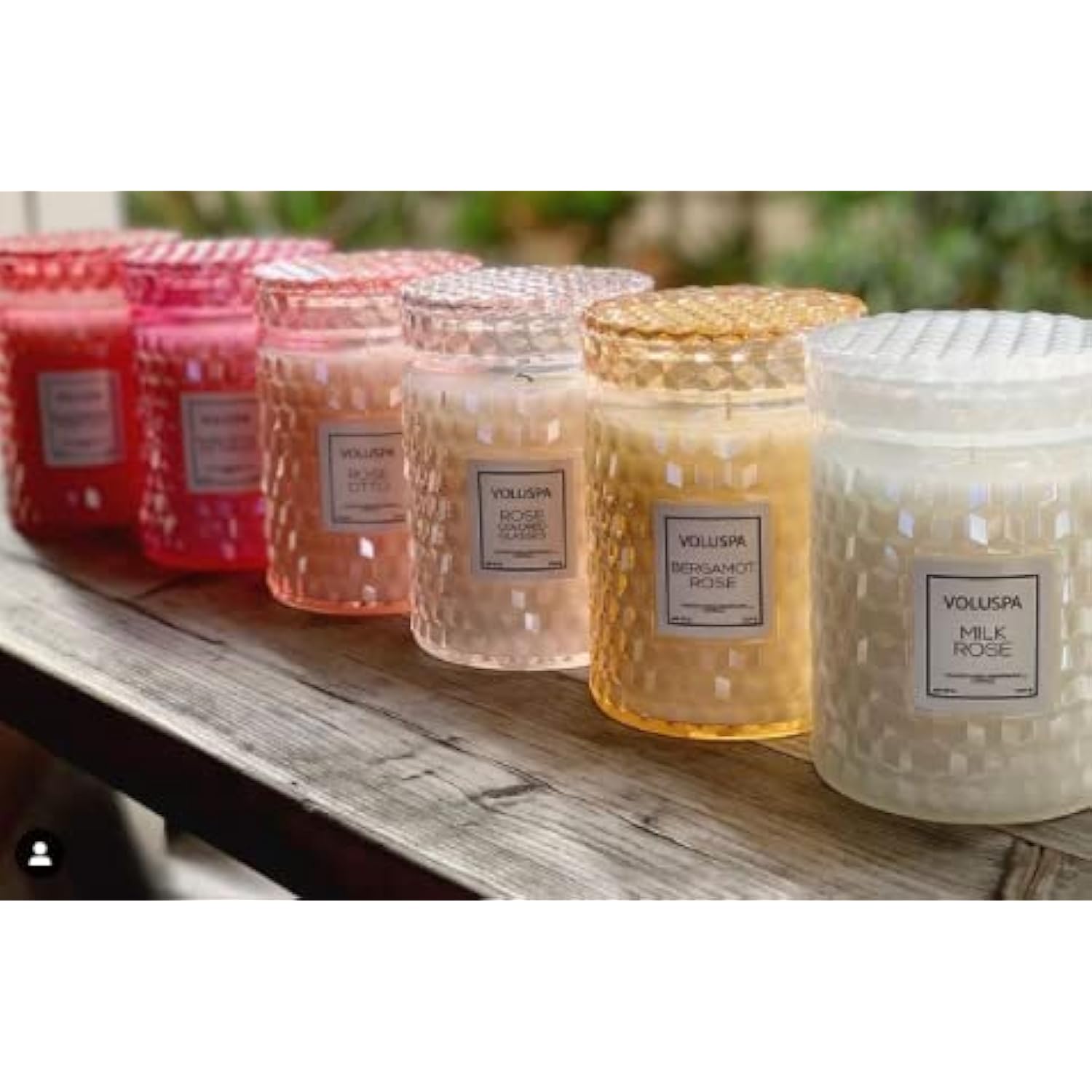 Voluspa Milk Rose, Large Candle Jar, 18 Ounce, 100 Hour Burn Time, Coconut Wax for Clean Burning, Handcrafted in The USA