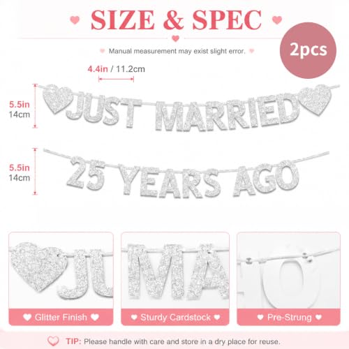 25th Wedding Anniversary Party Banner Decorations