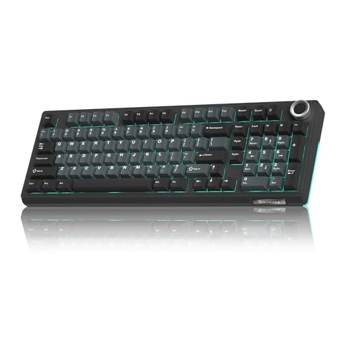 KI99 Pro Wireless Mechanical Keyboard with Quiet Switch, Hot Swappable Pre-Lubed Switches with RGB Backlit, Gasket Structure Computer Gaming Keyboard