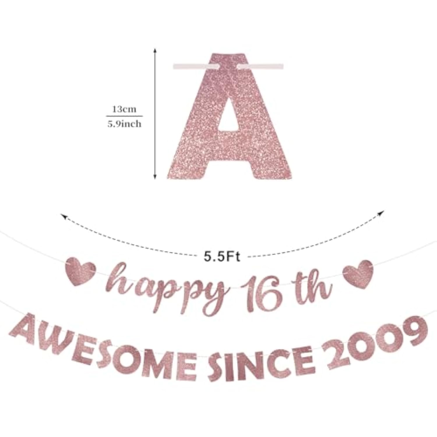Pink Rose Gold 16th Party Decorations "Awesome Since 2009" Banner & Photo Props