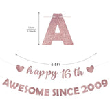Pink Rose Gold 16th Party Decorations "Awesome Since 2009" Banner & Photo Props
