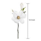 5 Pack Artificial Magnolia Flowers Realistic Silk Magnolia With Green Leaves Real Touch Magnolia Bouquet For Wedding Home Office Table Centerpiece Decor