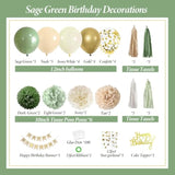 Sage Green Birthday Party Decorations With Banner, Tissue Tassels, Paper Pompoms, Balloons, Star Garland, Cake Topper