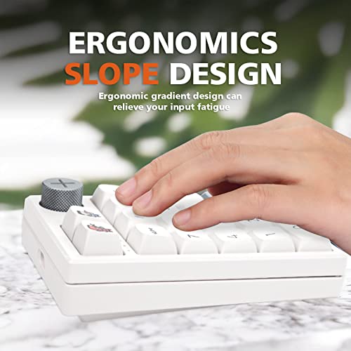 K3 Pro Three Mode 2.4G/Bt5.0/Usb-C Wireless Bluetooth Mechanical Number Keyboard - 19 Key Mini Portable Rgb Backlight Game Keyboard