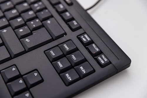 Stream Keyboard Tkl, Wired Keyboard Without Number Pad, Whisper Quiet Keys, Unique Typing Feel, Slim Design, Sx Scissor Switches, Qwerty, White-Gray