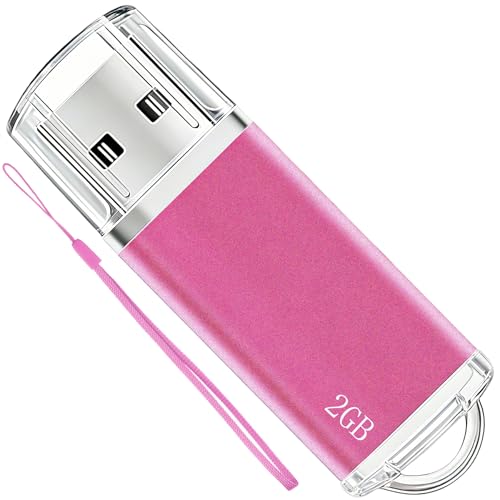 2Gb Usb Flash Drive 1 Pack Thumb Drives Zip Drive Usb 2.0 Jump Flash Drive Memory Stick 2Gb With Lanyards (Pink)