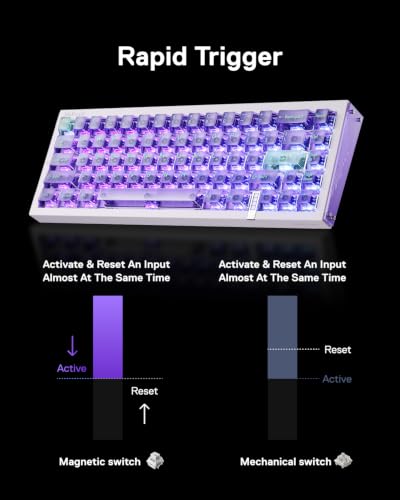Real67 Wired Gaming Keyboard With Rgb, Magnetic Keyboard With Hall Effect, Rapid Trigger, Hot-Swappable, Snap Tap & Adjustable Actuation, Online Hive Custom (Potassium-Transparent Purple)