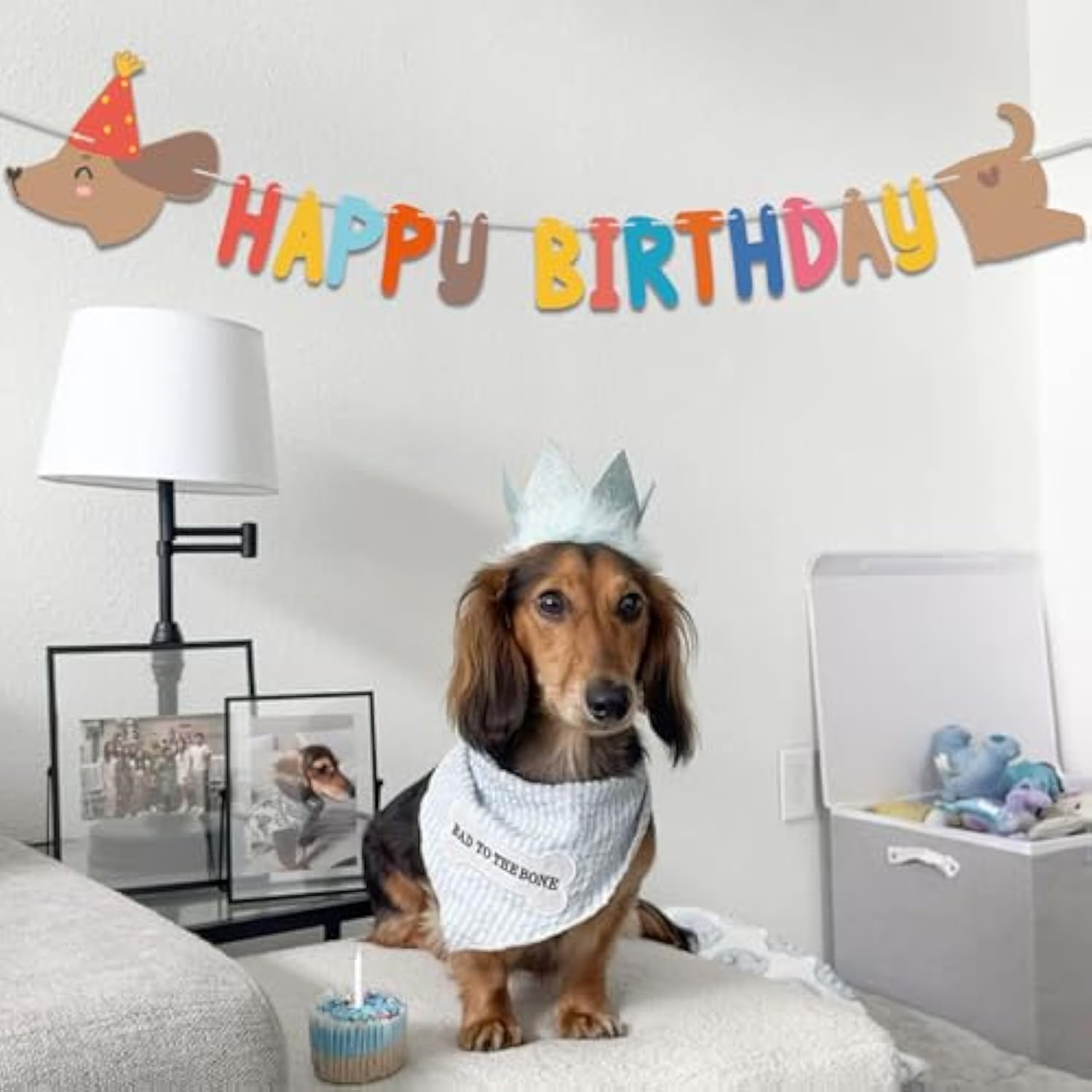 Dachshund Dog Birthday Garland - Long Sausage Wiener Dog Puppy Party Banner And Dog Lover Party Decorations Supplies